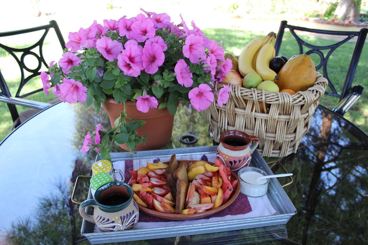 장크트 고아르스하우젠 Rancho El Campanario En La Ruta Del Vino 호스텔 외부 사진