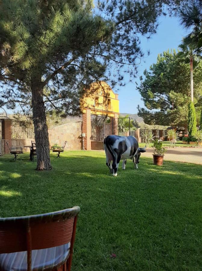 장크트 고아르스하우젠 Rancho El Campanario En La Ruta Del Vino 호스텔 외부 사진