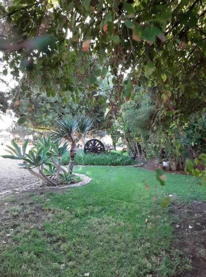 장크트 고아르스하우젠 Rancho El Campanario En La Ruta Del Vino 호스텔 외부 사진