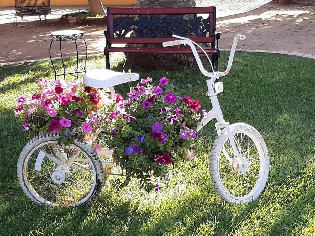 장크트 고아르스하우젠 Rancho El Campanario En La Ruta Del Vino 호스텔 외부 사진